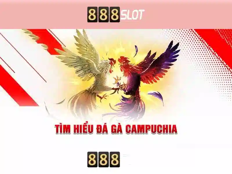 Giải Pháp Thay Thế Cho Người Chưa Truy Cập Được 888SLOT
