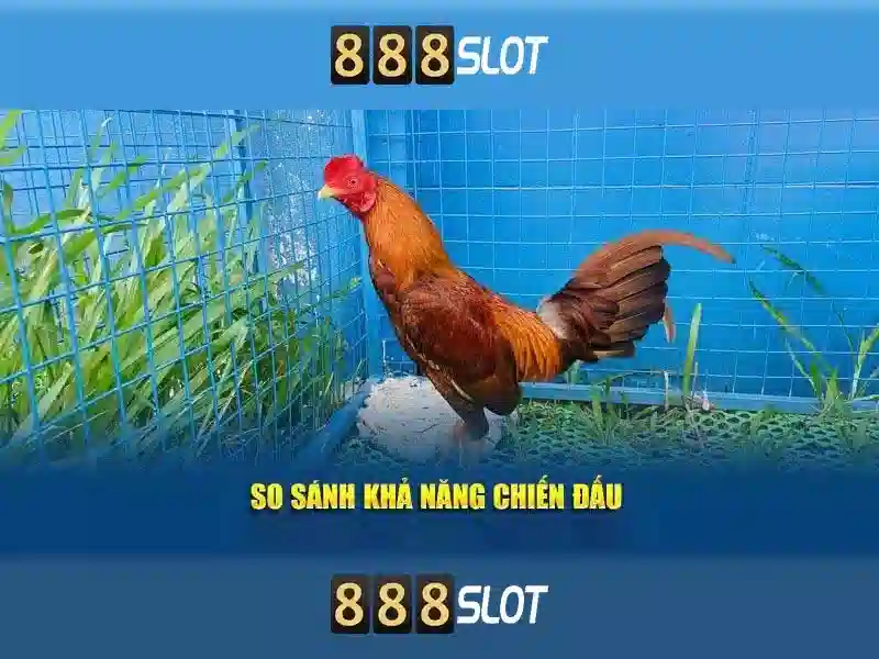 Giao diện mượt mà