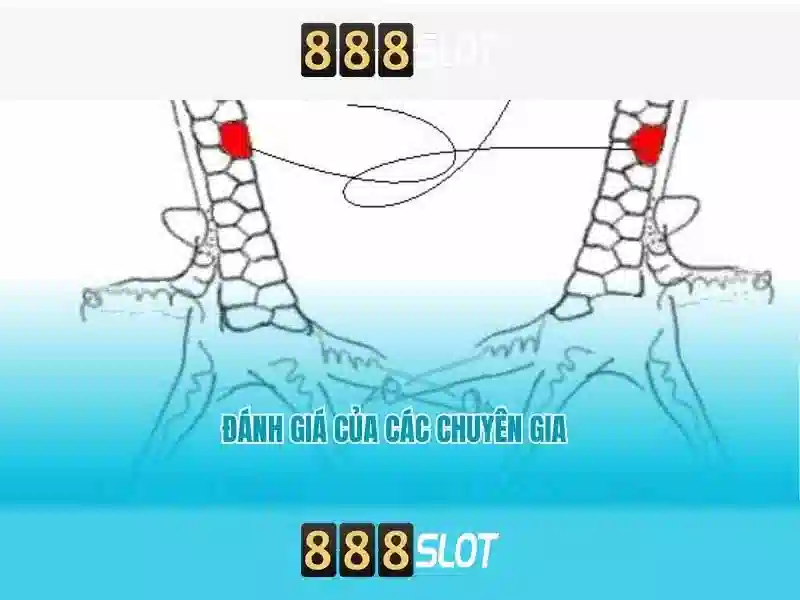 slot 3D