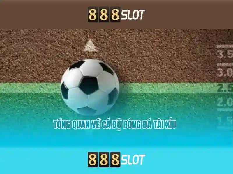 Tại Sao Nên Chọn 888SLOT