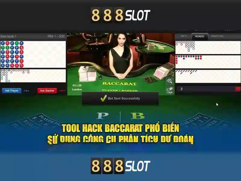 Điều Khoản và Điều Kiện