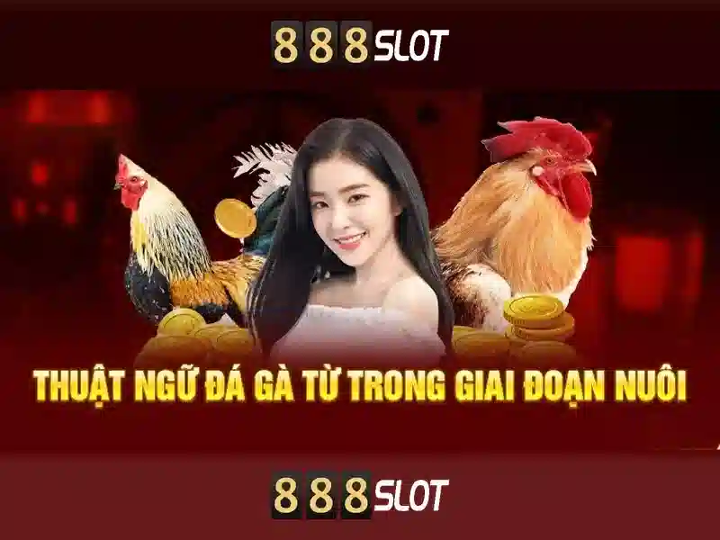 Trải Nghiệm Slot Đỉnh Cao 2026