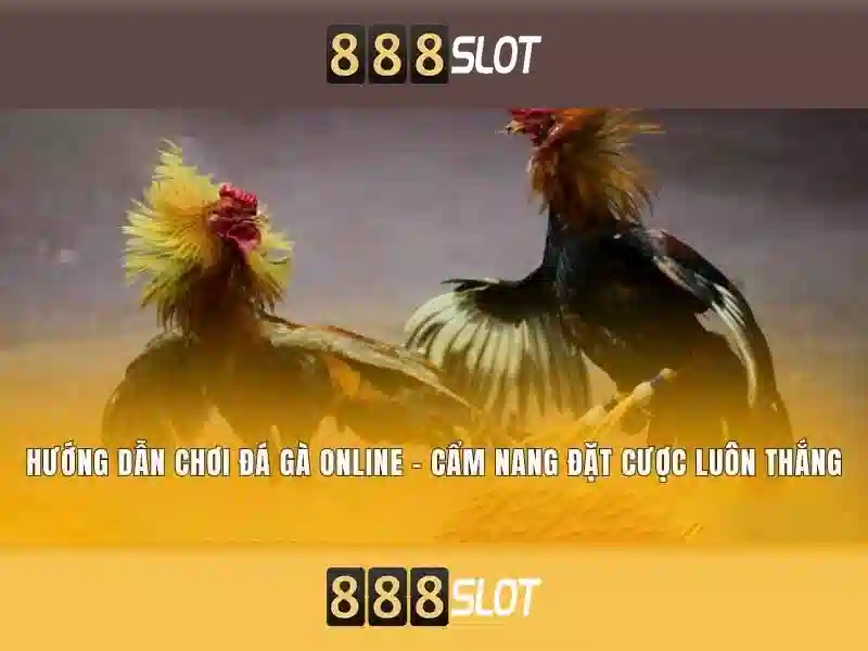 Trải nghiệm cá cược trực tuyến