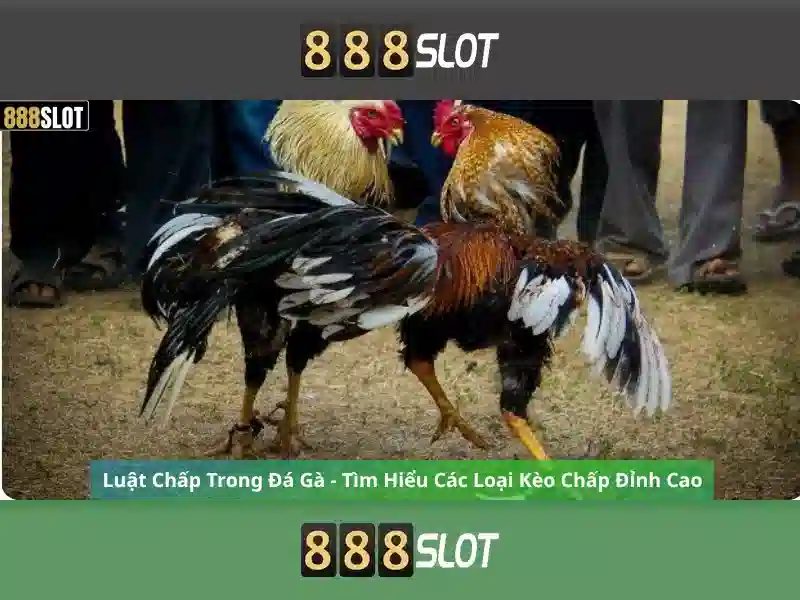 slot đổi thưởng