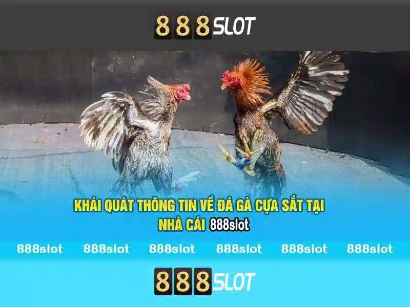 888SLOT - Kênh 888slot Channel Tham Gia Cá Cược Slot Trực Tuyến Thú Vị Nhận Thưởng Hấp Dẫn - Copyright © 2026