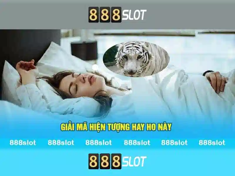 Giới thiệu về 888SLOT