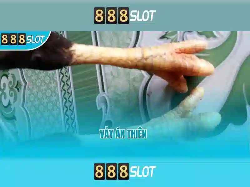 Tính năng độc quyền
