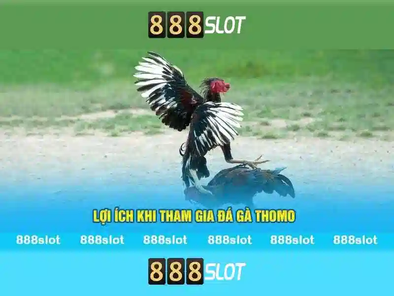 Điều Khoản Và Điều Kiện 888SLOT