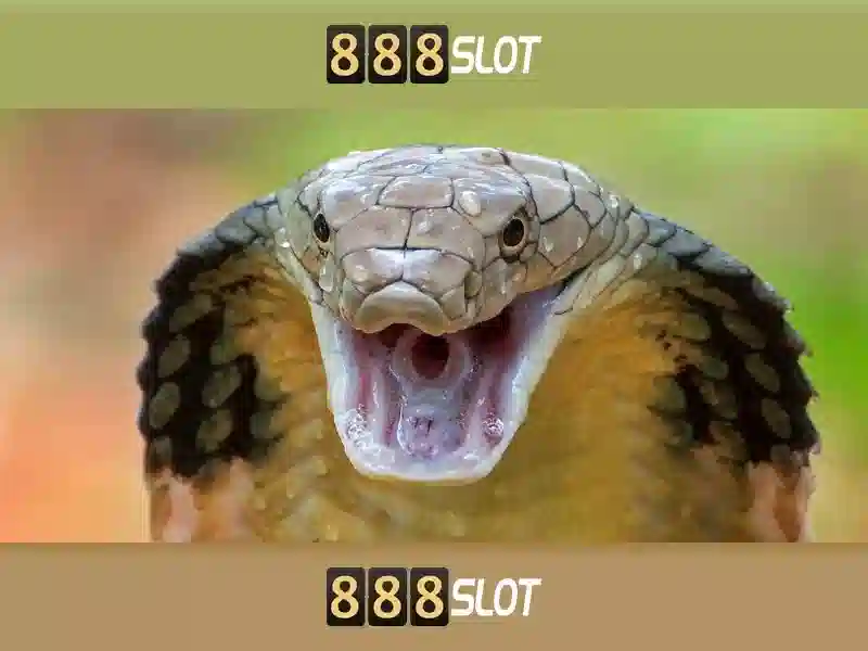 Trang Đăng Nhập 888SLOT