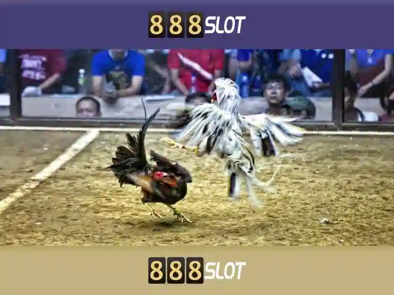 Khám Phá 888SLOT