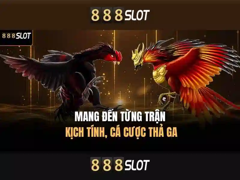 888SLOT – Trải Nghiệm Slot Poker Đỉnh Cao Cùng 888slot Poker 2026