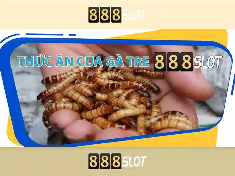 Lợi Ích Đăng Nhập