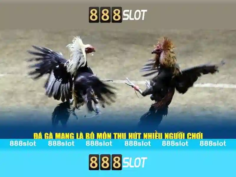Ưu Điểm Nổi Bật Của 888SLOT