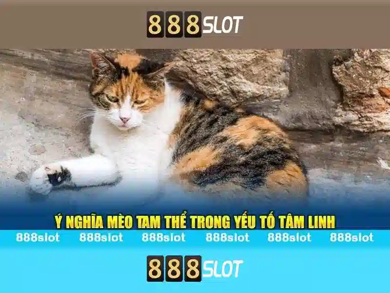 Máy Slot 888SLOT