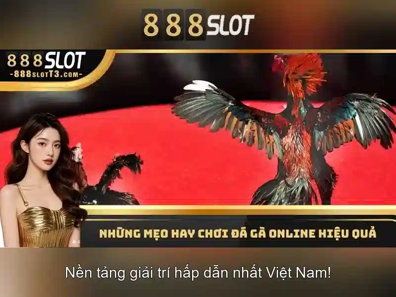 Trải nghiệm casino đỉnh cao