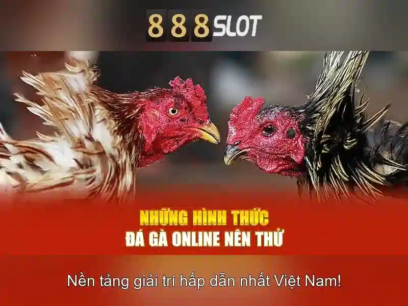 Nhà Cái Uy Tín Hàng Đầu 888SLOT