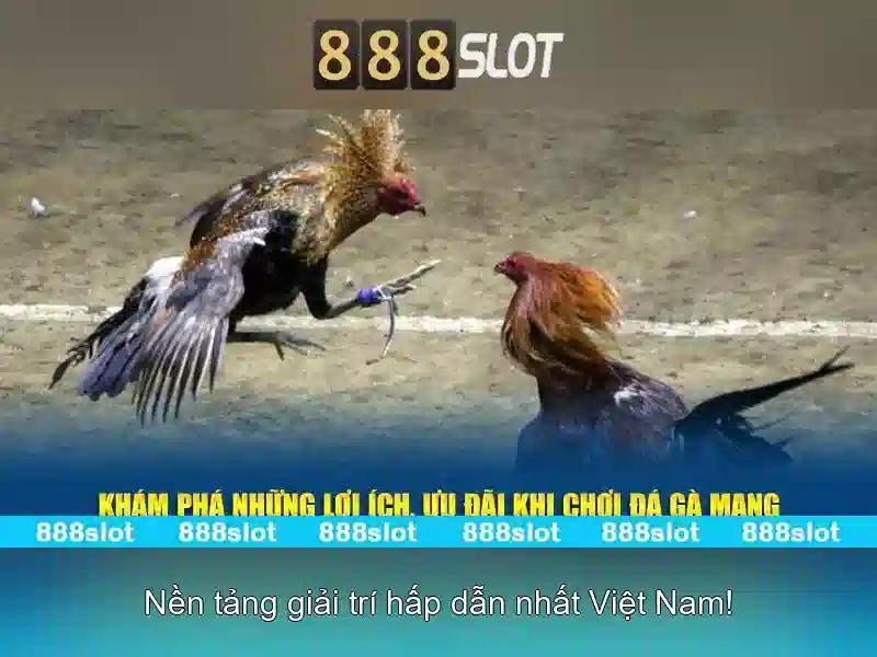 Cách Chơi Slot 888slot