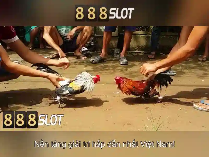 trải nghiệm cá cược đỉnh cao