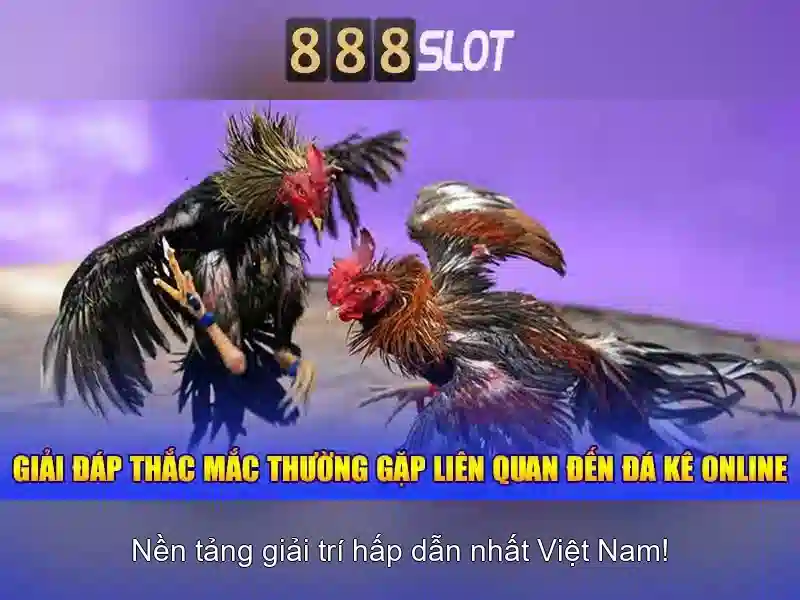 Thành Viên 888SLOT