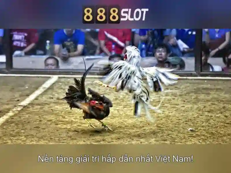 Ưu Điểm Của 888SLOT