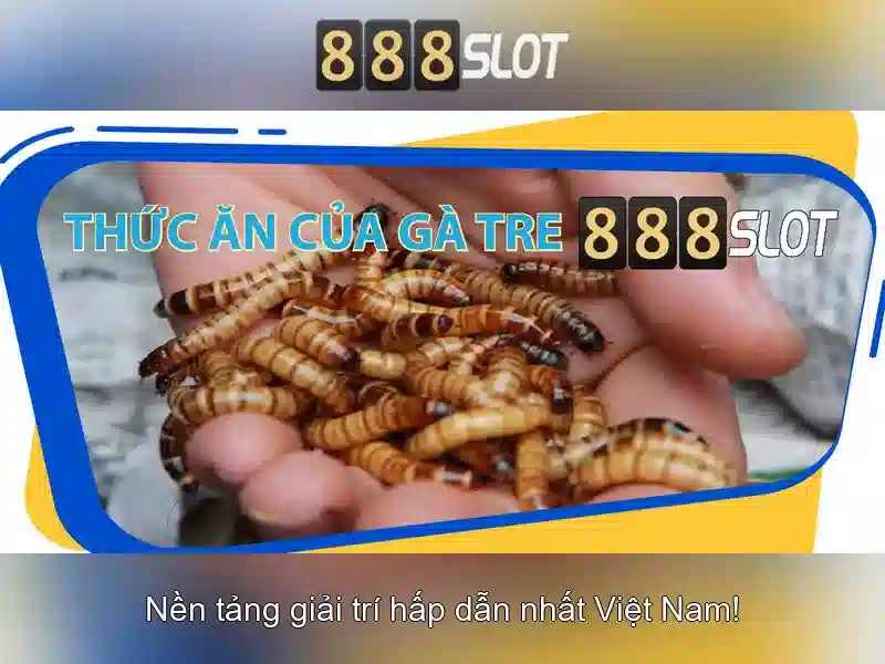 Đồ Họa Chất Lượng