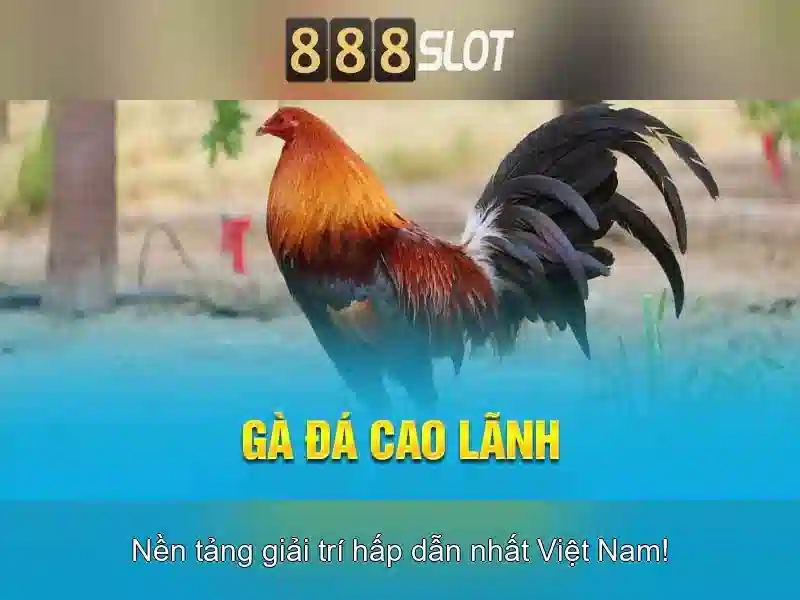 Các Loại Trò Chơi